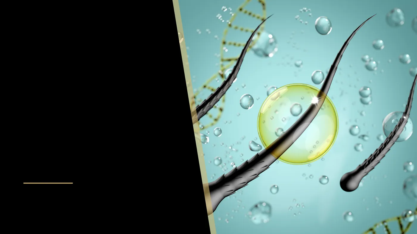 How does body hair transplantation work, and when is it used?
