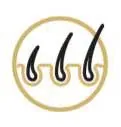 Promote Hair Growth Icon