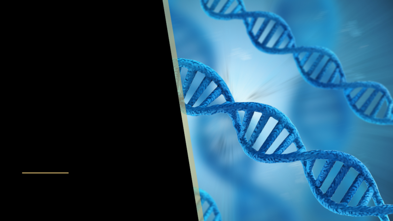 Genetics and Hair Loss: Who Do Your Inherit it From? 2 Genes