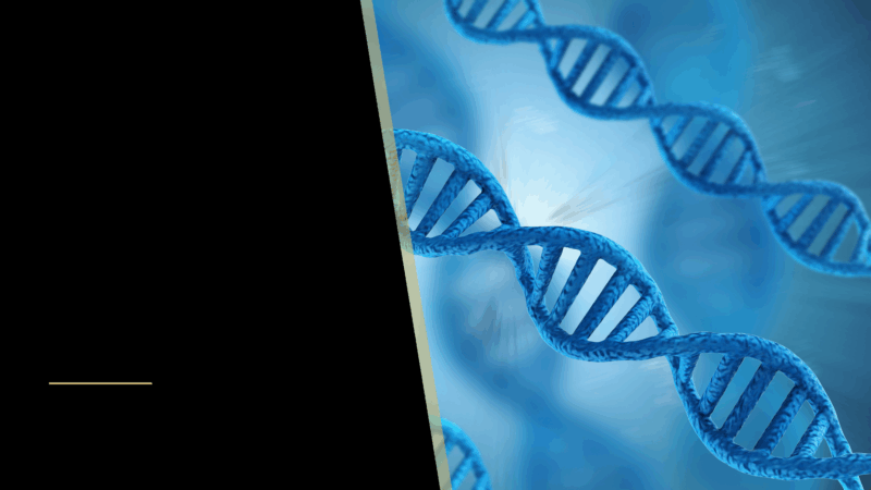 Genetics and Hair Loss: Who Do Your Inherit it From? 2 A picture of genes