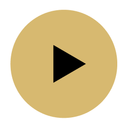Play Button Play Button